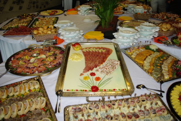 Otvoritev stadiona v Stožicah (VIP gostje)